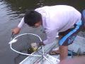 Joe Kopp -  Fishing  the Amazon River out of Manaus Brazil. The river Branco