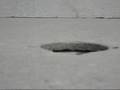 videos de WLV uitje 2008
