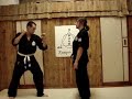 breaking the thunder   kempo jutsu kai   www kodokai com