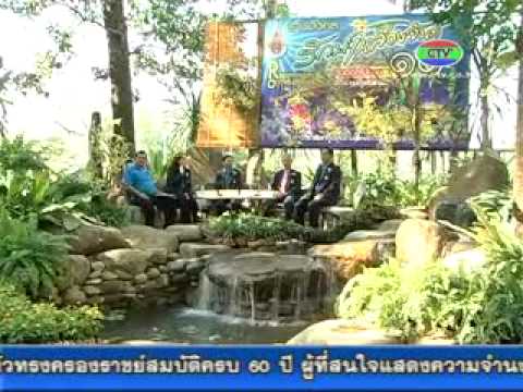 24-1-55 แถลงข่าวราชมงคลรักษ์เหลืองจันท์