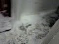 caldura din vagon