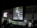 muay patong