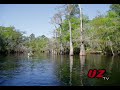 Suwannee River - Joe Occhipinti
