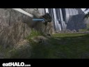 Yeehaw! Yeehaw!