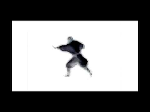 Kung fu Ink 功夫水墨 2009.11.11