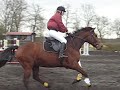 Concours Obstacle E1 St Dizier Blandine et Nithard9 mars 08 Concours Obstacle E1 St Dizier Blandine et Nithard9 mars 08