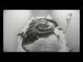 The Ward Clip 'Just Jealous of Me'