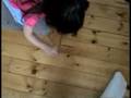 The-Cricket-Master