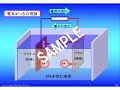 半導体パッケージ製造（ＰＤＦ）/Semiconductor Package Manufacturing