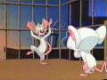 el baile de la tetera