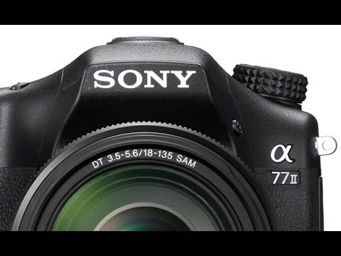 how to adjust iso on nikon d5300
