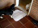 miucha-x-bob-parte-03.html