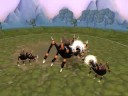 My spore spider