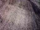 Helmet cam Oregon: Yamaha Enduro 125
