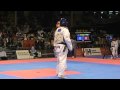 Female -49 kg 2009 World Taekwondo Championships C