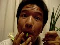 Welsh Onion Flute - The Cuckoo