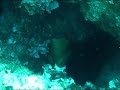 www.turkdivers.com