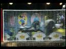 Flores sobre las piedras - AustinTV