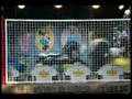 Flores sobre las piedras - AustinTV