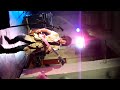 Deerhoof - \" 81\"