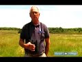 Get Started with Bird Watching : How to Choose Birding Binoculars Their Cost Get Started with Bird Watching : How to Choose Birding Binoculars Their Cost