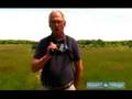 Get Started with Bird Watching : How to Choose Birding Binoculars & Their Cost