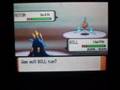 Rotom fangen
