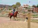 alcañiz 30 marzo inari 1