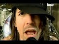 Red Hot Chili Peppers - Hump de Bump