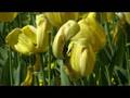 Floriade 2007