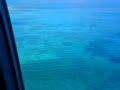 flight in griffin, amazing