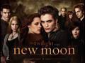 Twilight-New-Moon-Ho