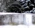 JAWED SNOWFALL CANADA