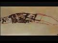 Pintura Abstracta