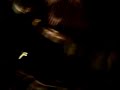 halloween 09 039