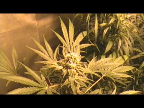 how to vent 400 watt hps