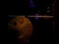 Genbu Fest '09 parte 3.mp4
