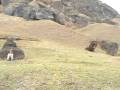 videos de Chili - Rapa Nui - Moai