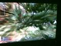 videos de call of duty 5 Castle 2 glitches NEW!