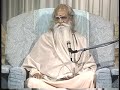 Sri Swami Satchidananda (Integral Yoga): Ecology