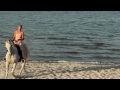 Reiten am Strand