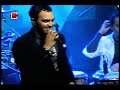 guaco   china guaquera
