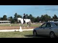Sovereign 1st D-bridle outing from reinback.wmv