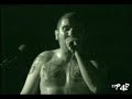 Attitudine - Disciplina skinhead live @ csoa sars [02.09.200
