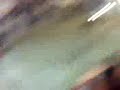 La ruusaa en segoorbee....xD!