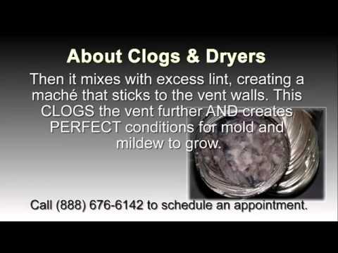 how to get rid of mold from water leak