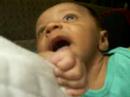 Ander Active (One month old)