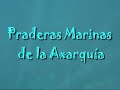 im�genes de algunas de las praderas de la axarqu�a a principios de mayo, prepar�ndose para el c�lido verano en nuestra costa del sol
