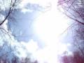 Alien Abduction - Cathy Testimony - Curs ed Net Radio
