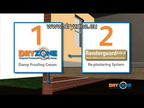 how to cure rising damp